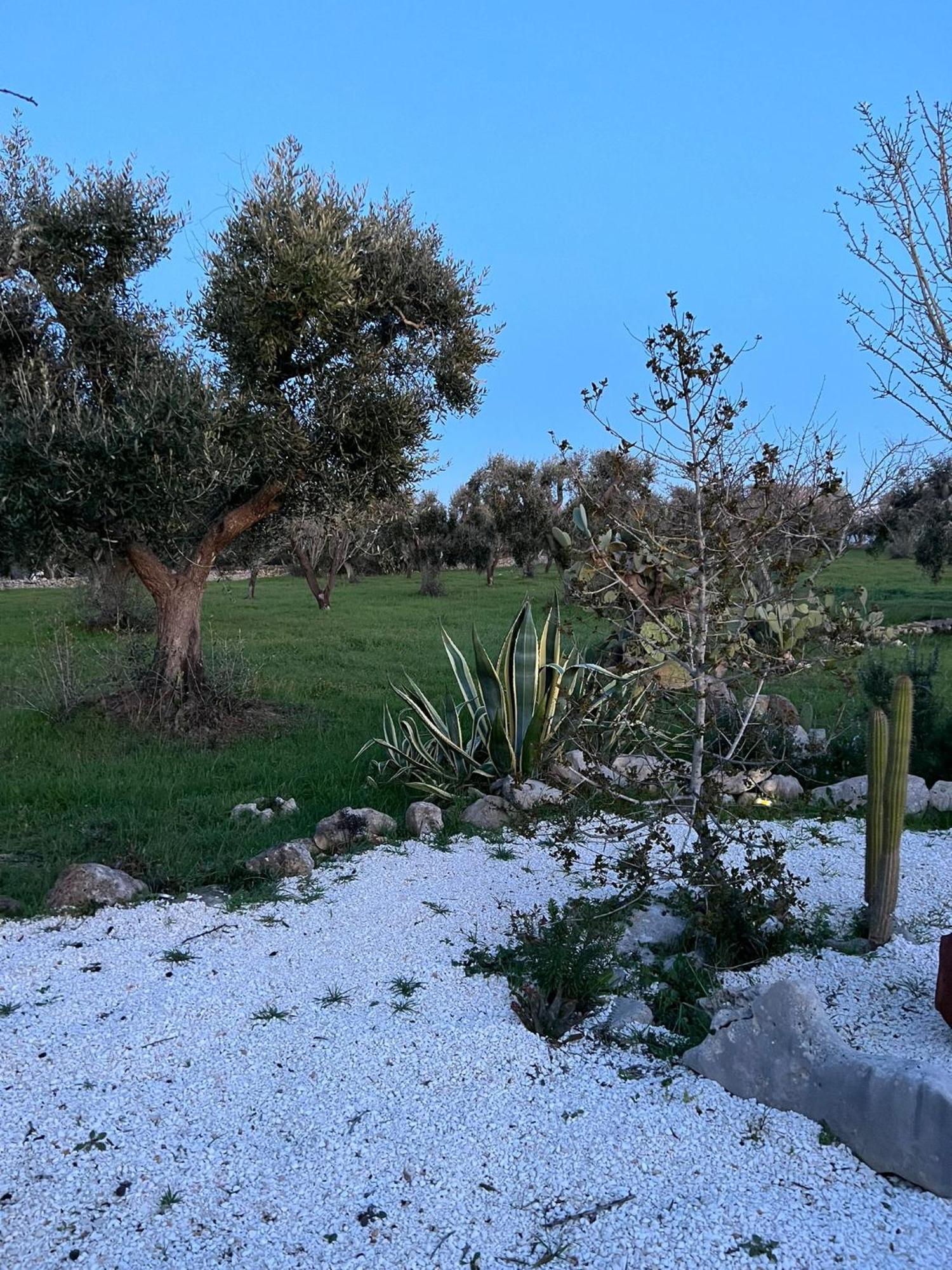 Villa Trullo Oriale Ostuni Exterior foto